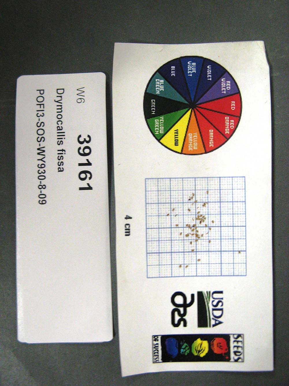 Click for 1 image(s) for this accession. SEED