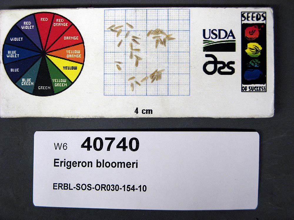 SEED