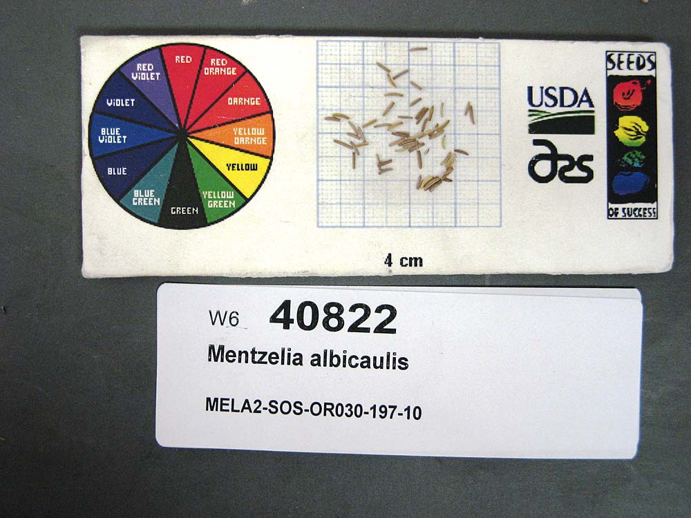 SEED