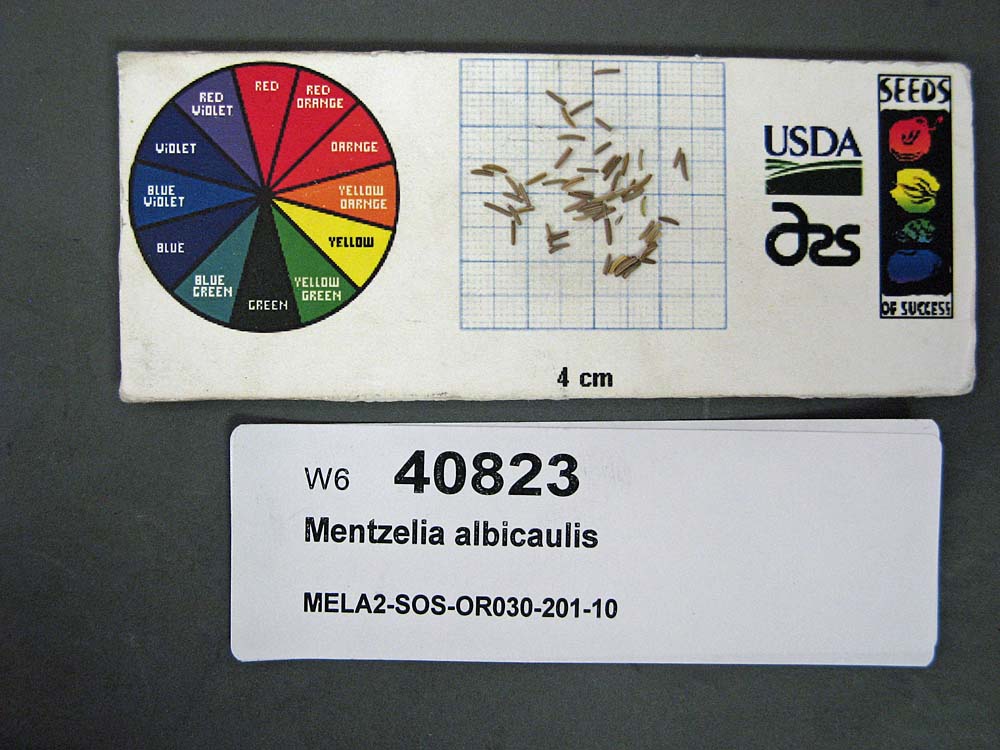 SEED