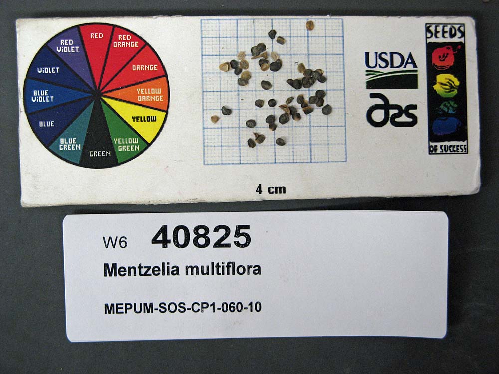 SEED