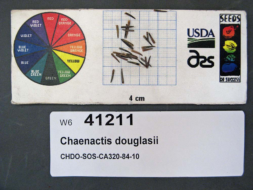 Click for 1 image(s) for this accession. SEED