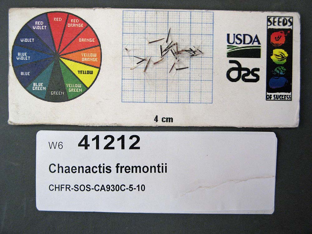 Click for 1 image(s) for this accession. SEED
