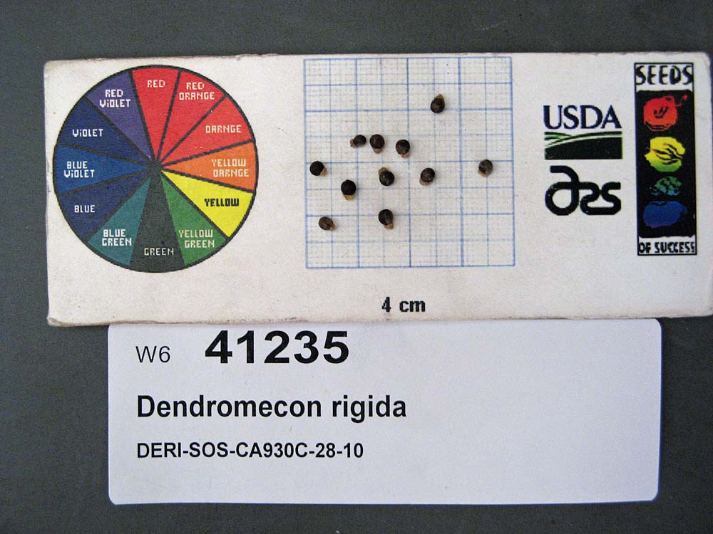 SEED