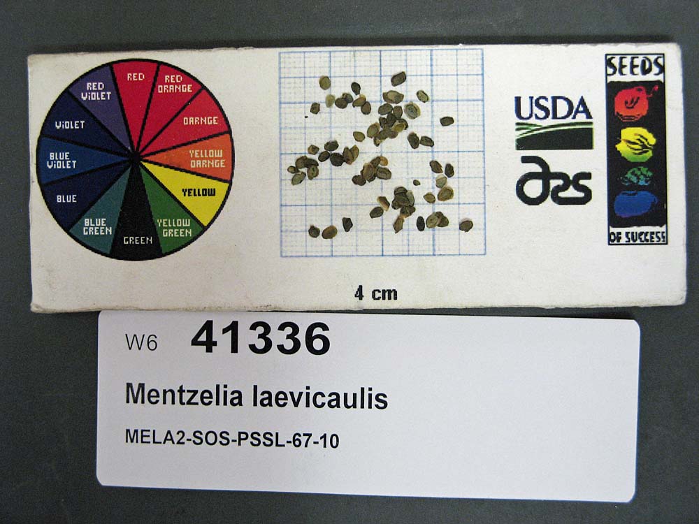SEED