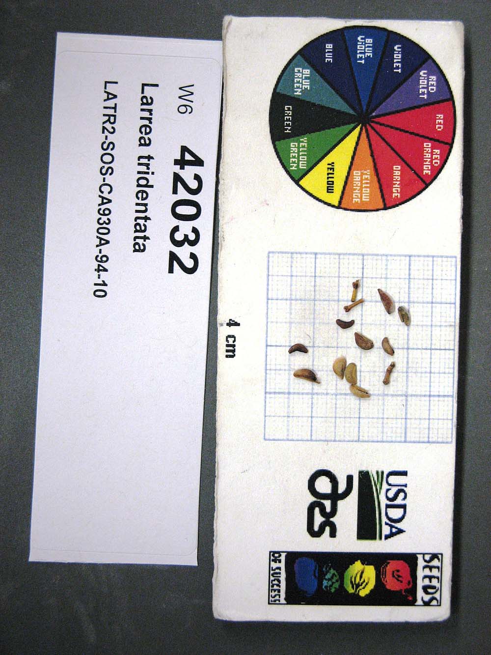 SEED