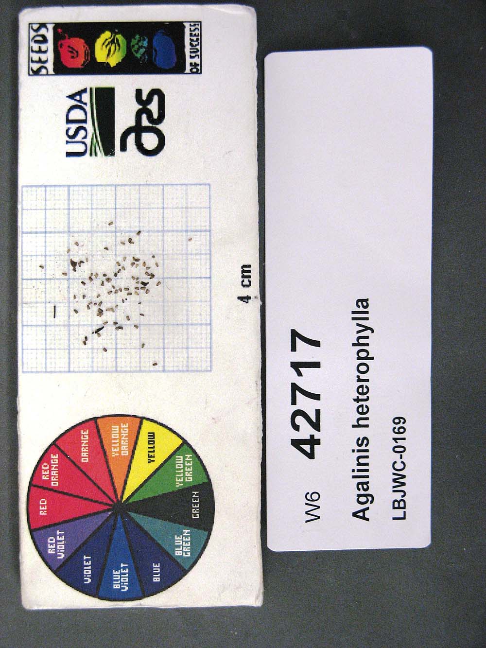 SEED