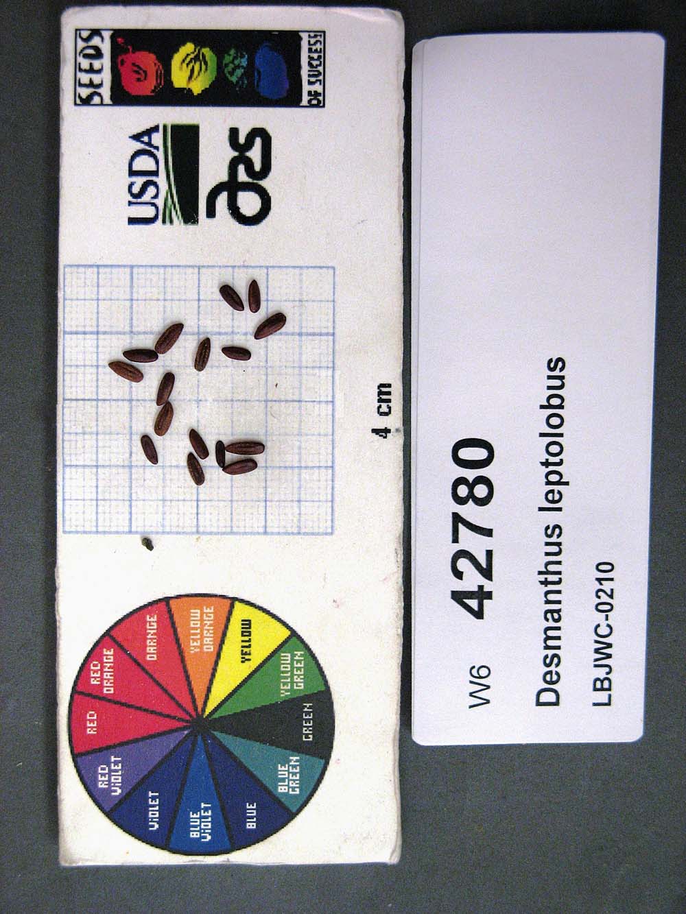 Click for 1 image(s) for this accession. SEED