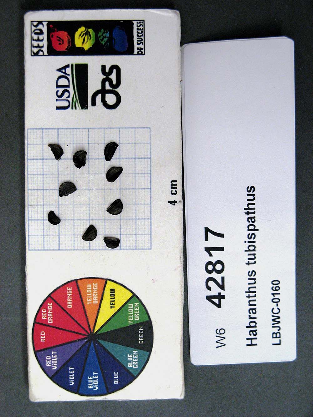 SEED