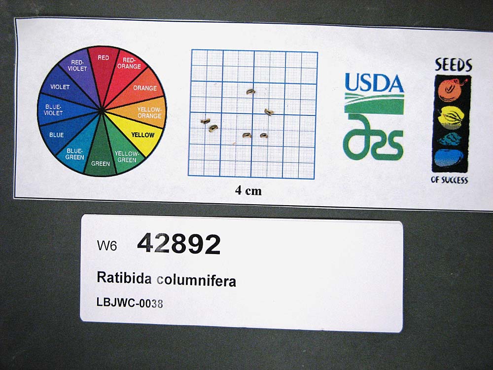 Click for 1 image(s) for this accession. SEED