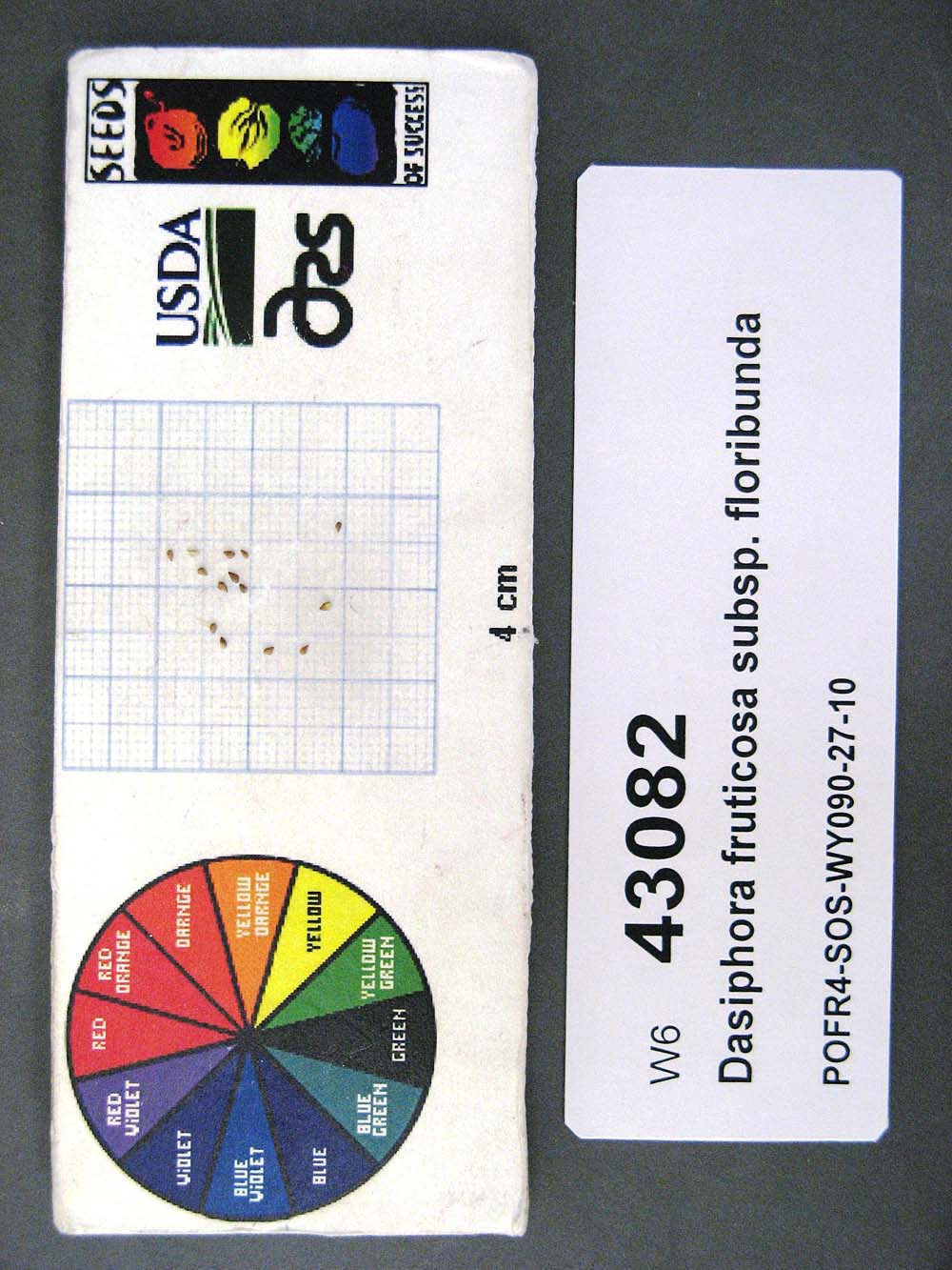 Click for 1 image(s) for this accession. SEED