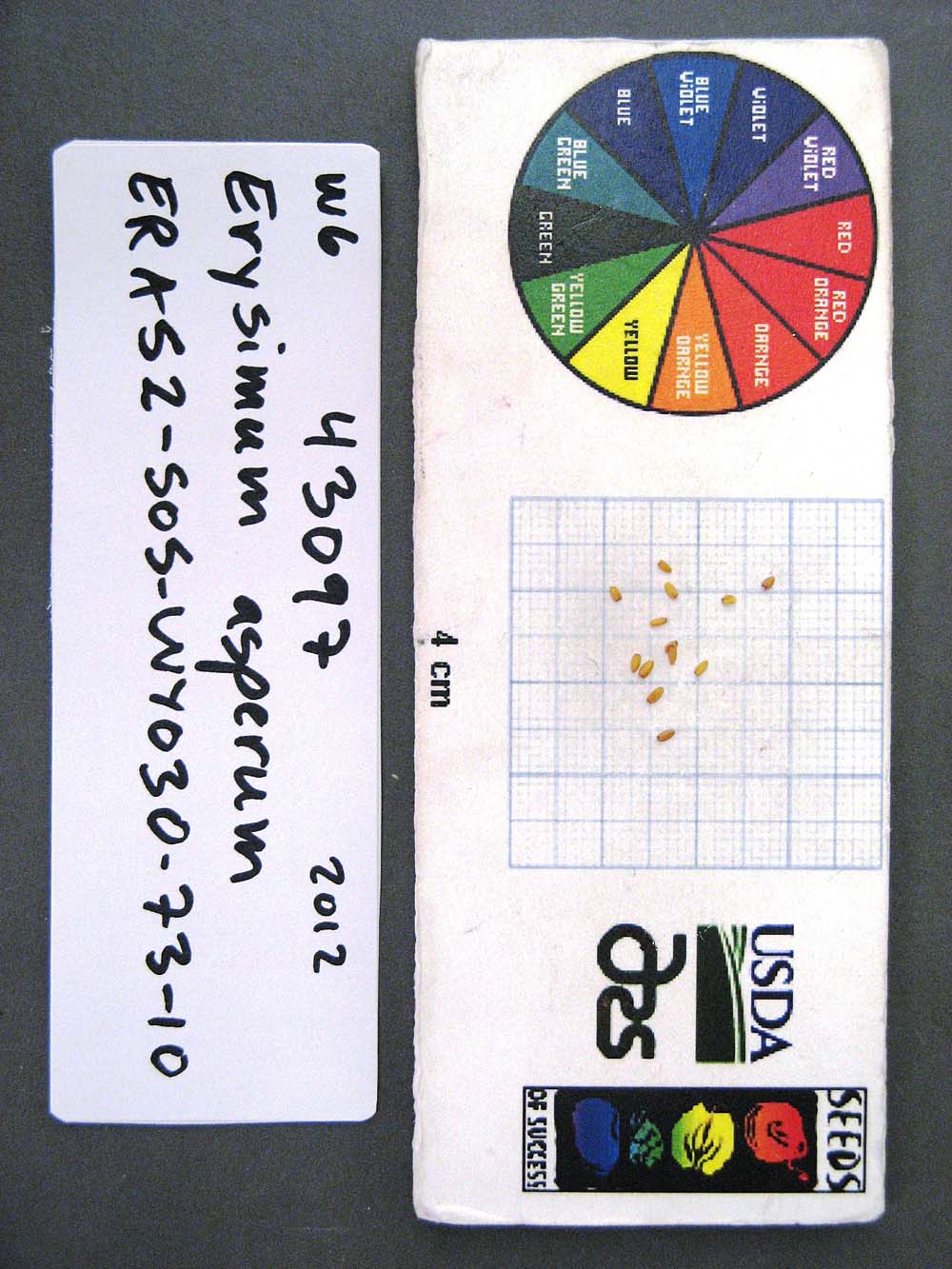 Click for 1 image(s) for this accession. SEED