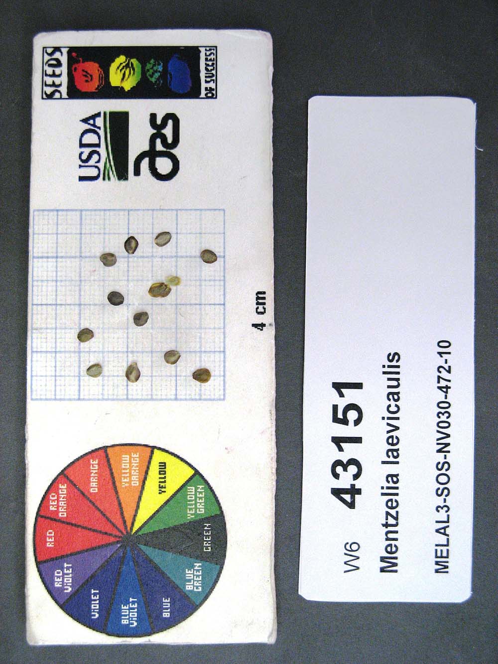 SEED