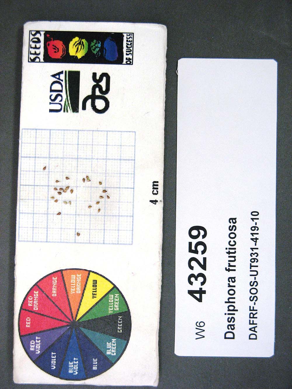 Click for 1 image(s) for this accession. SEED