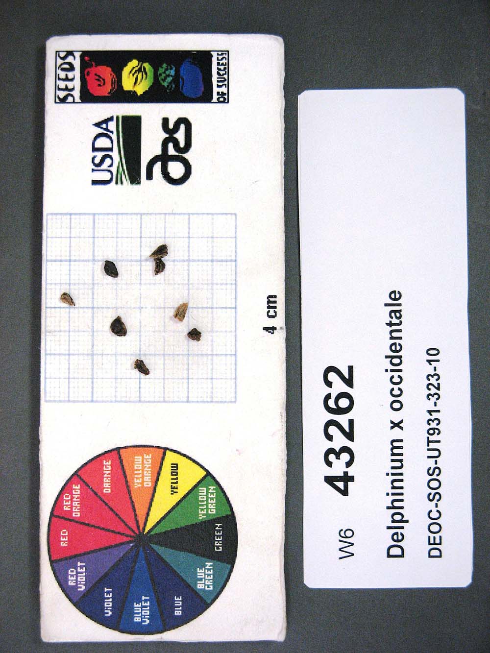 Click for 1 image(s) for this accession. SEED