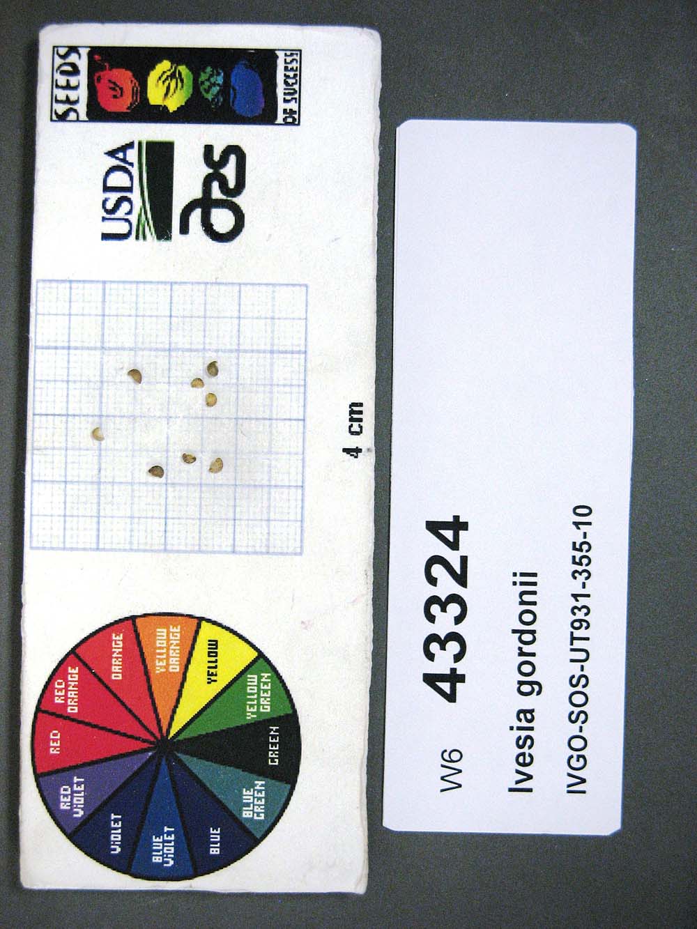 SEED