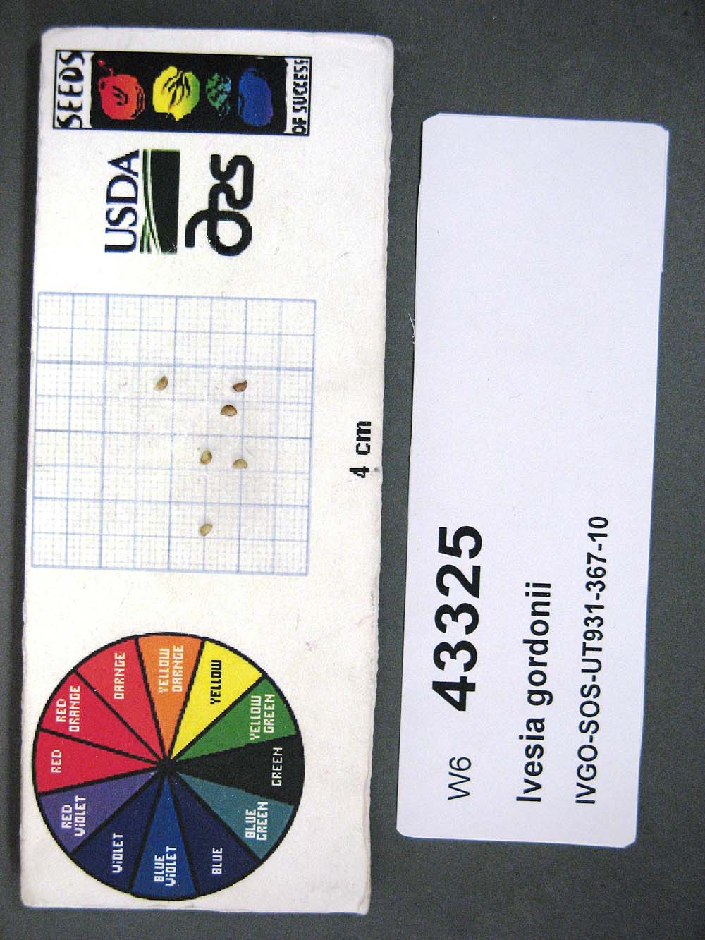 SEED