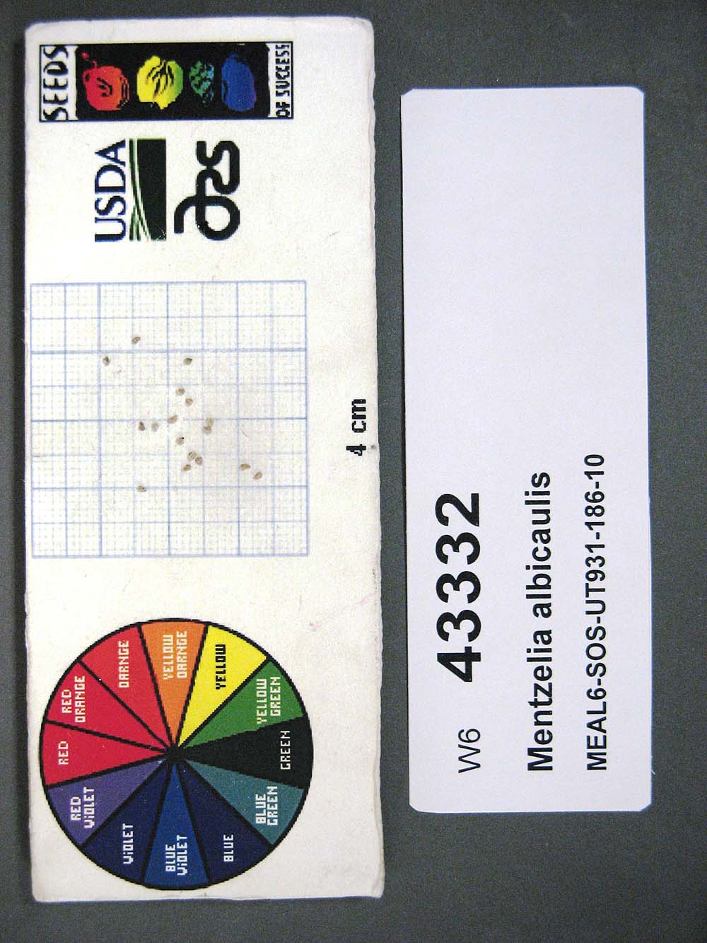 SEED