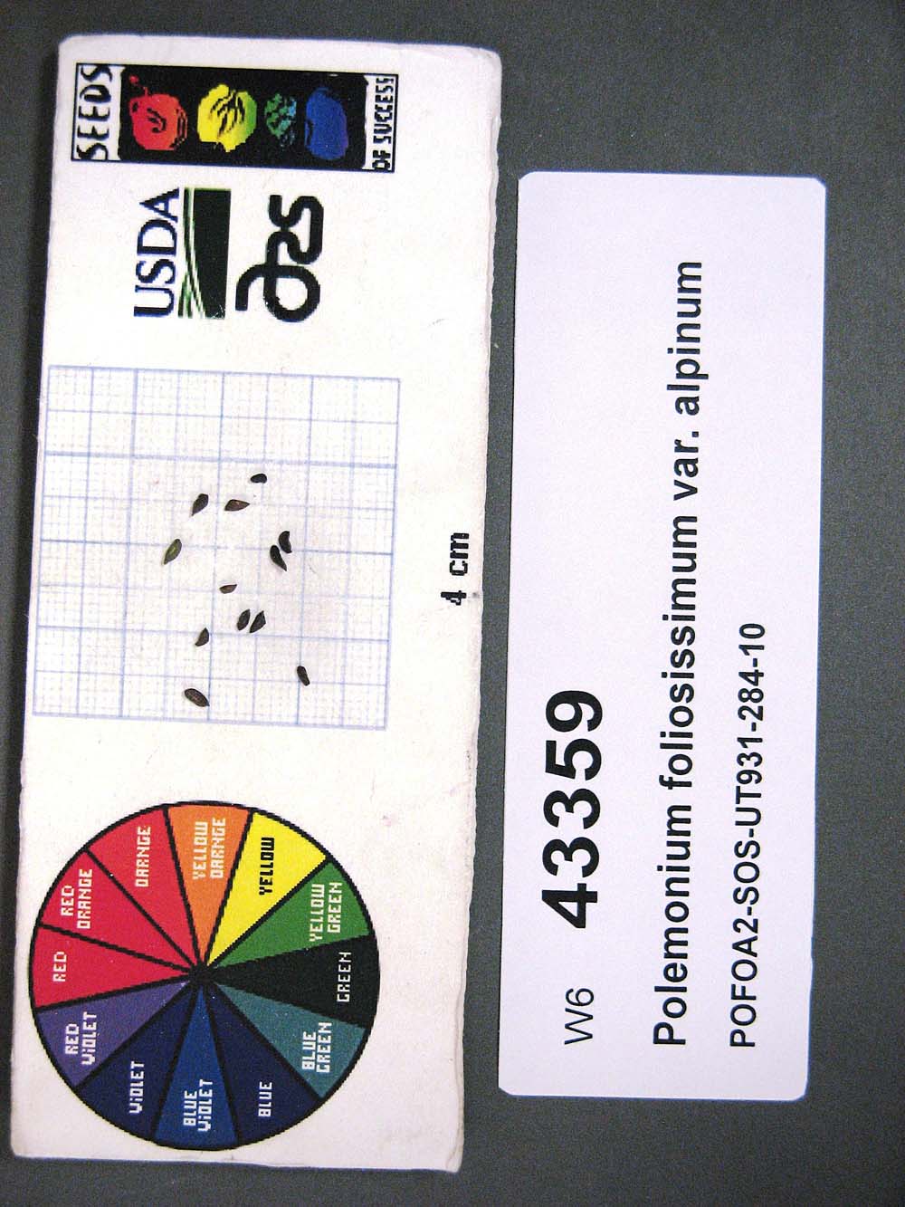 Click for 1 image(s) for this accession. SEED
