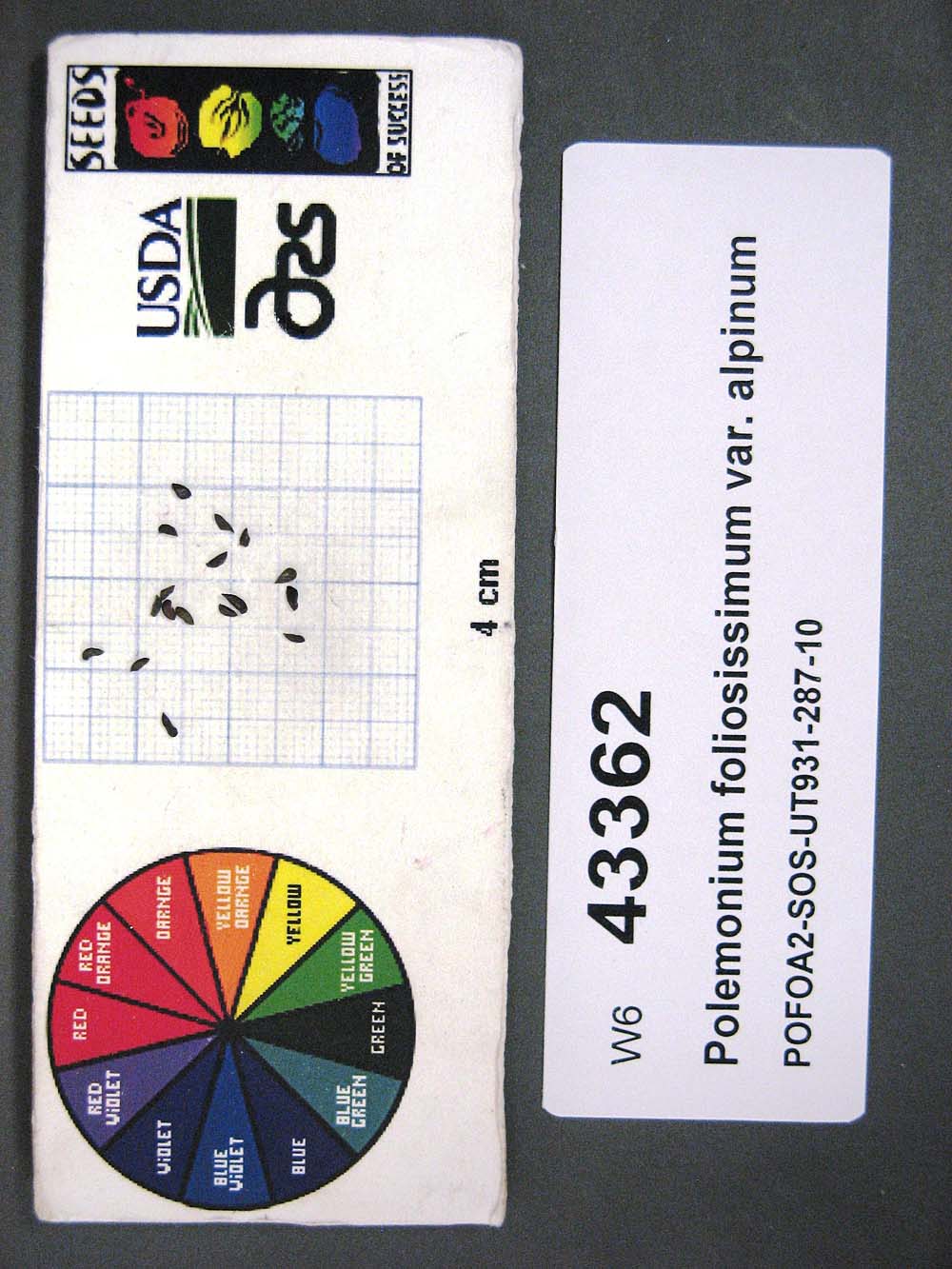 Click for 1 image(s) for this accession. SEED