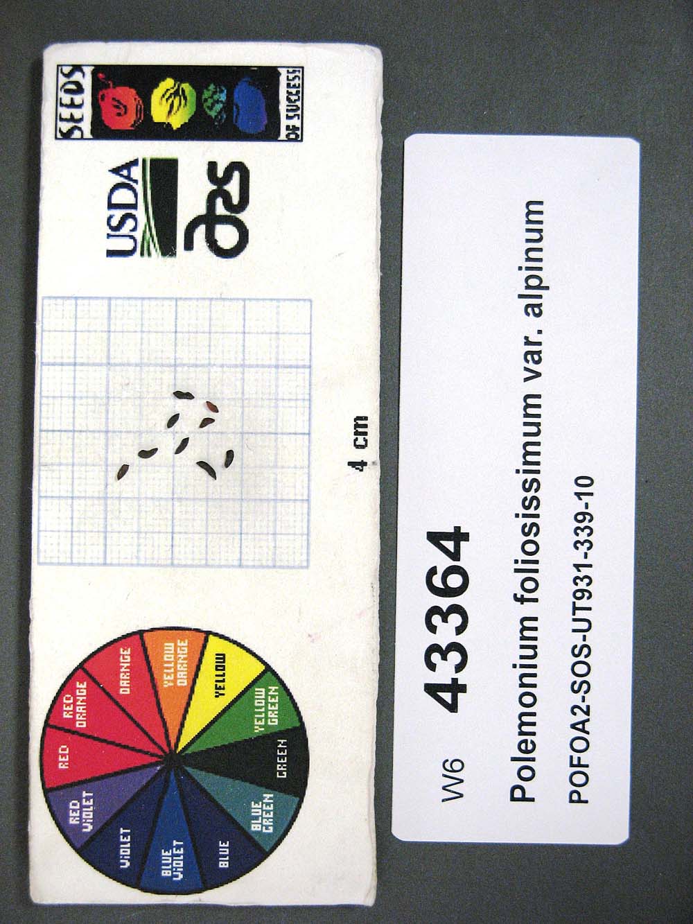 Click for 1 image(s) for this accession. SEED