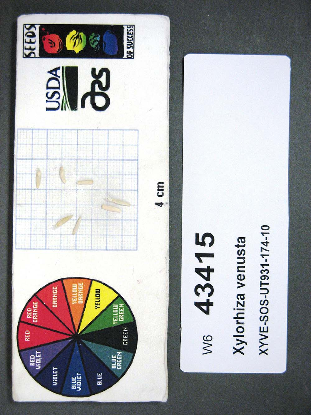 SEED