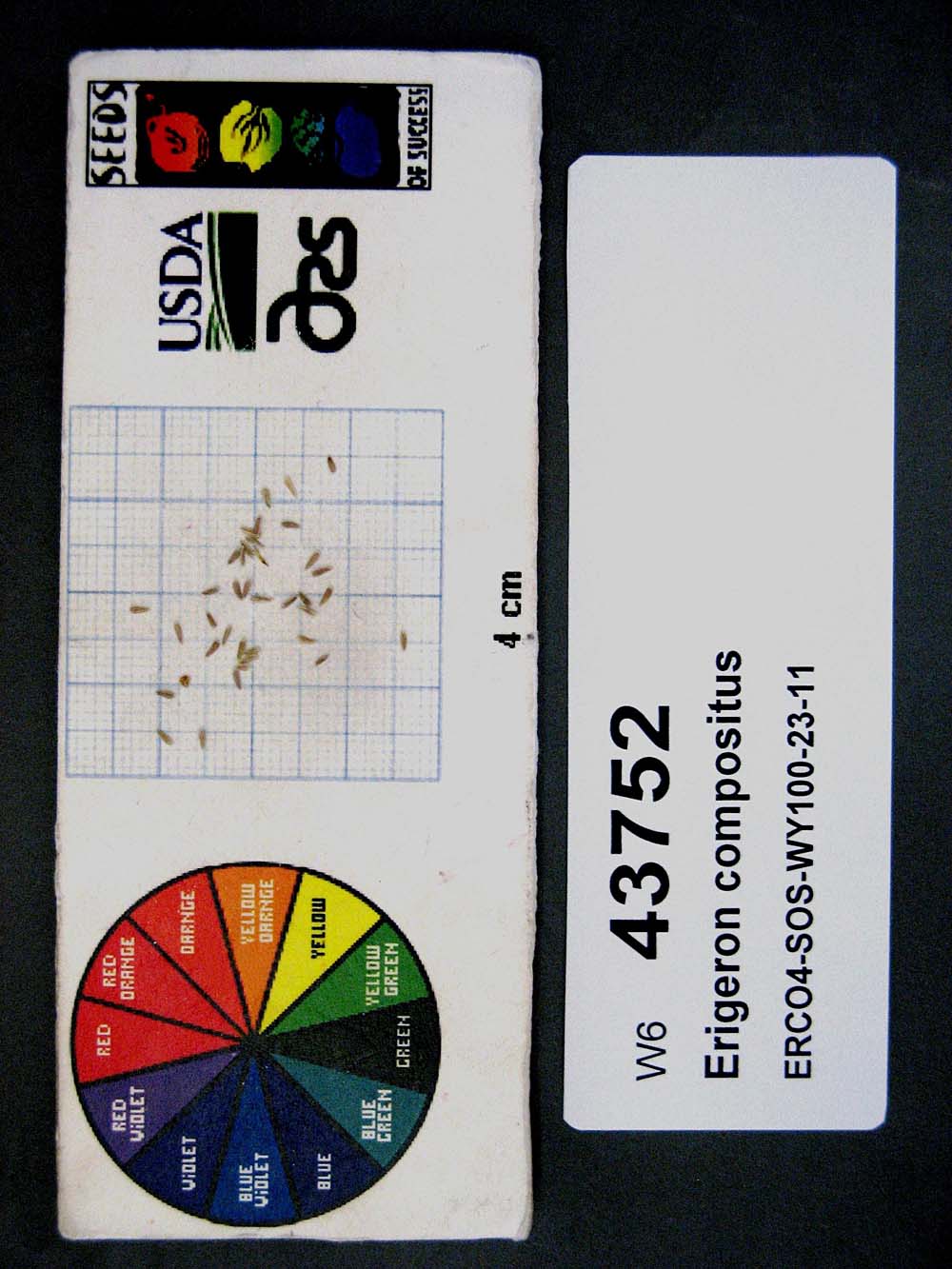 SEED