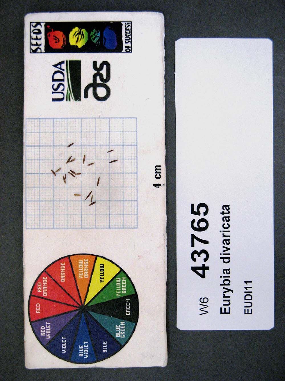 Click for 1 image(s) for this accession. SEED
