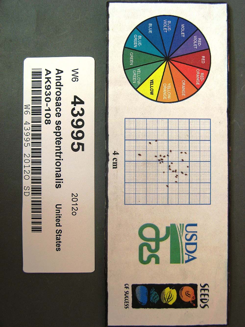 Click for 1 image(s) for this accession. SEED