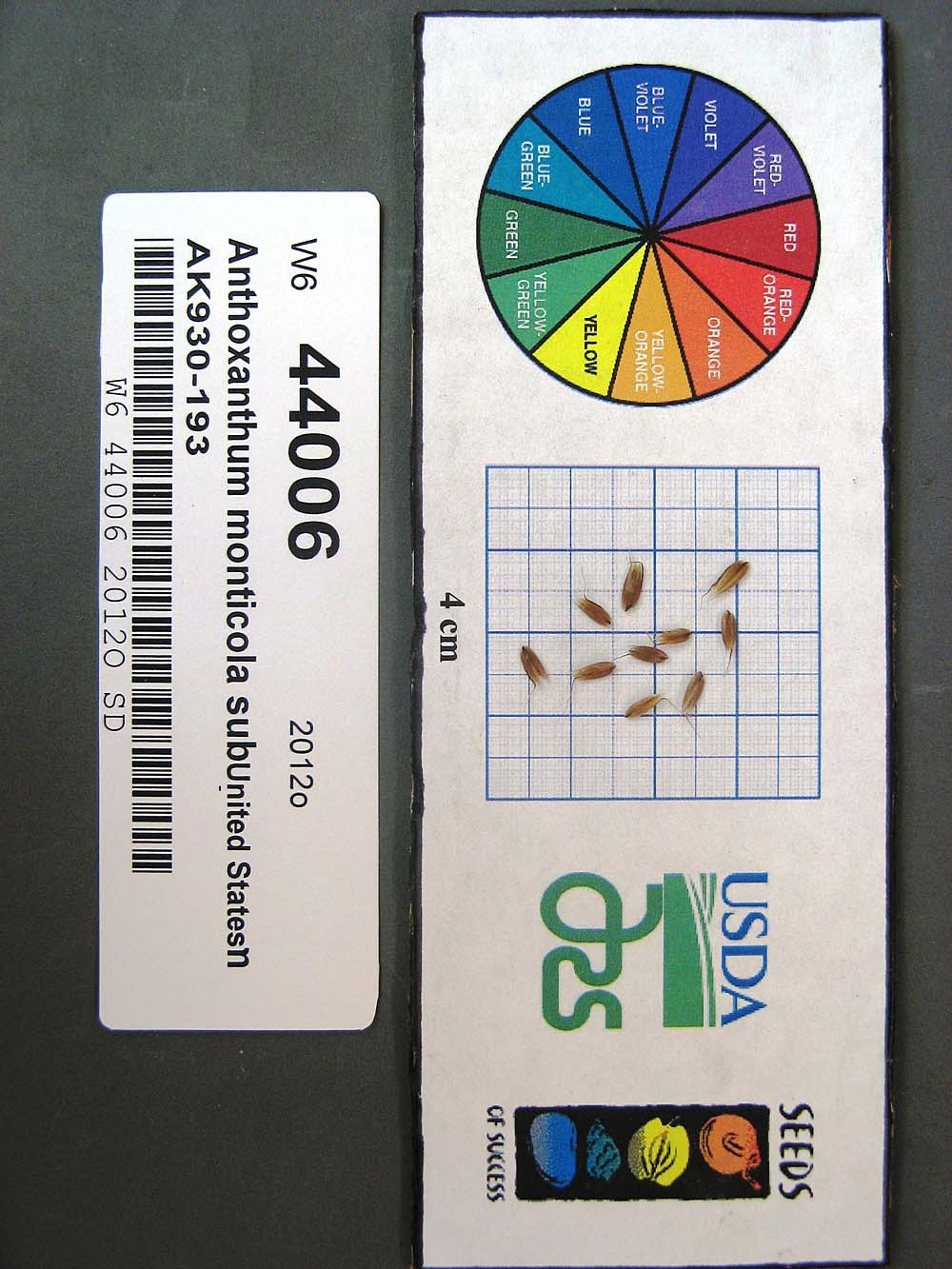 Click for 1 image(s) for this accession. SEED