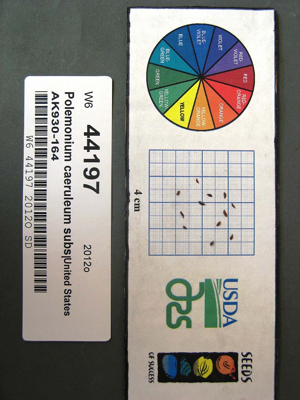 Click for 1 image(s) for this accession. SEED