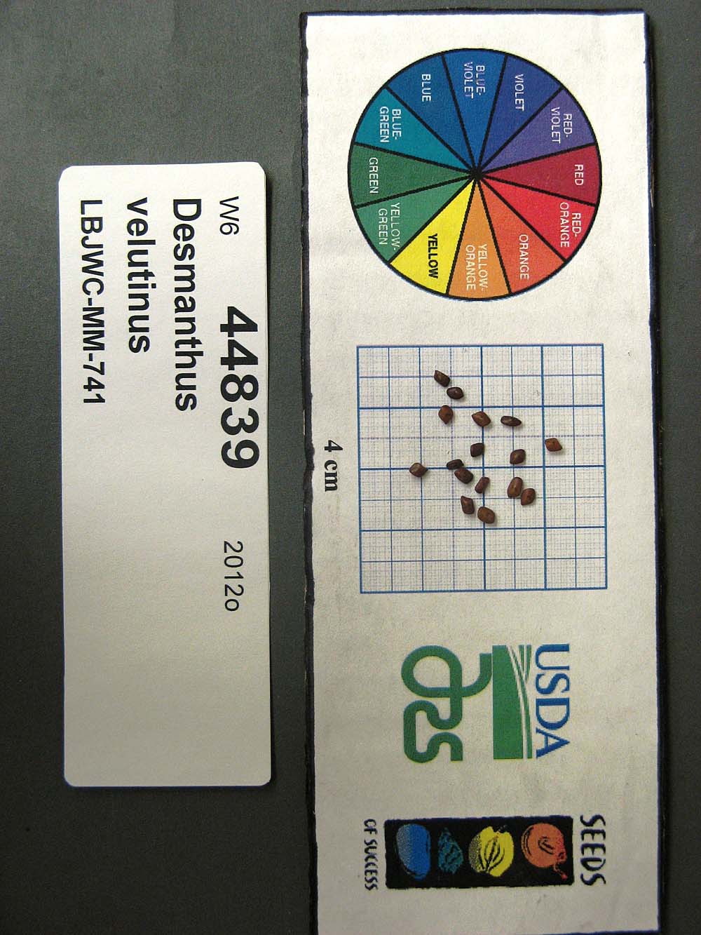 Click for 1 image(s) for this accession. SEED