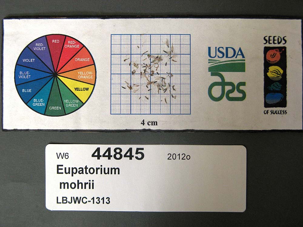 Click for 1 image(s) for this accession. SEED