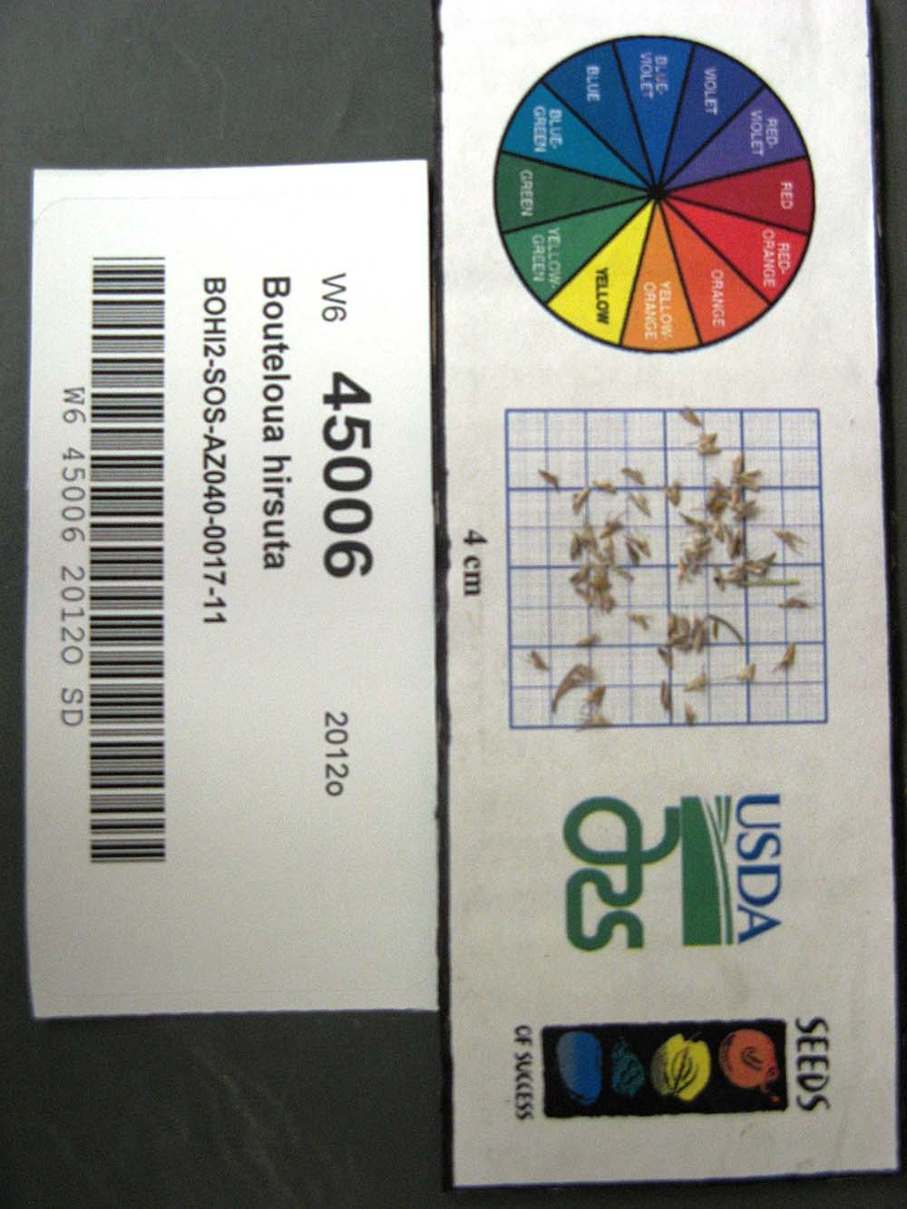 Click for 1 image(s) for this accession. SEED