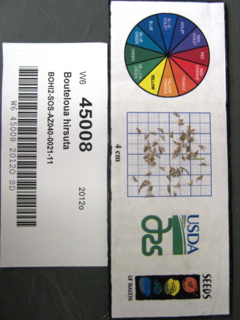 Click for 1 image(s) for this accession. SEED