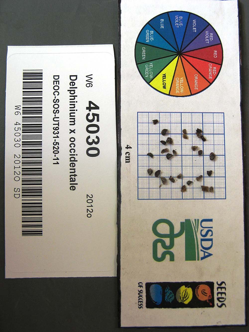 Click for 1 image(s) for this accession. SEED