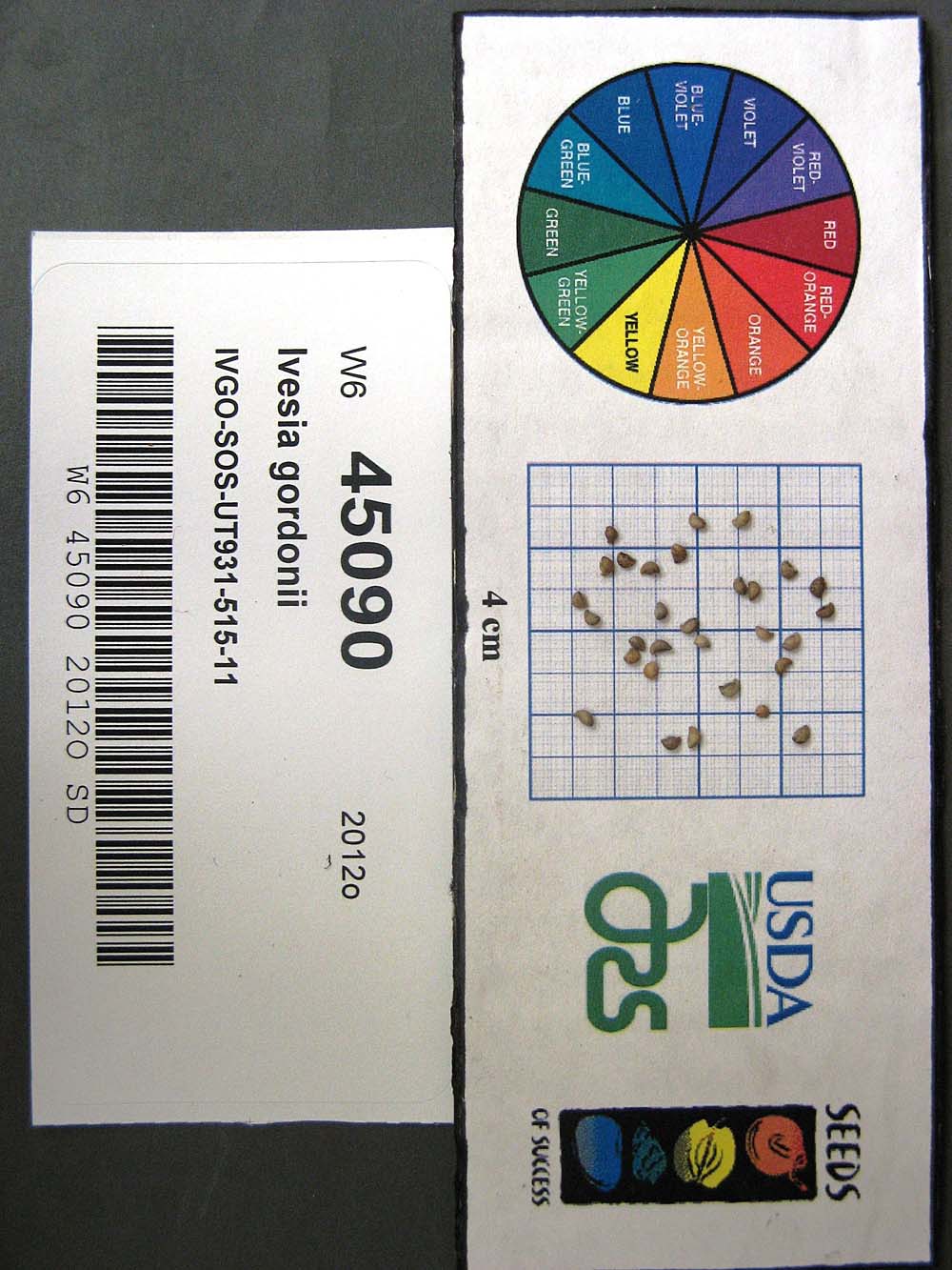 SEED