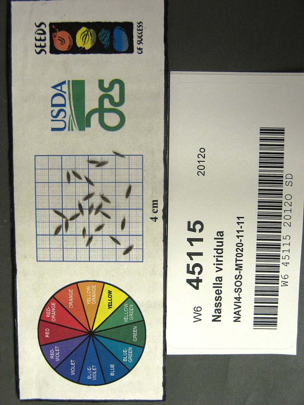 Click for 1 image(s) for this accession. SEED