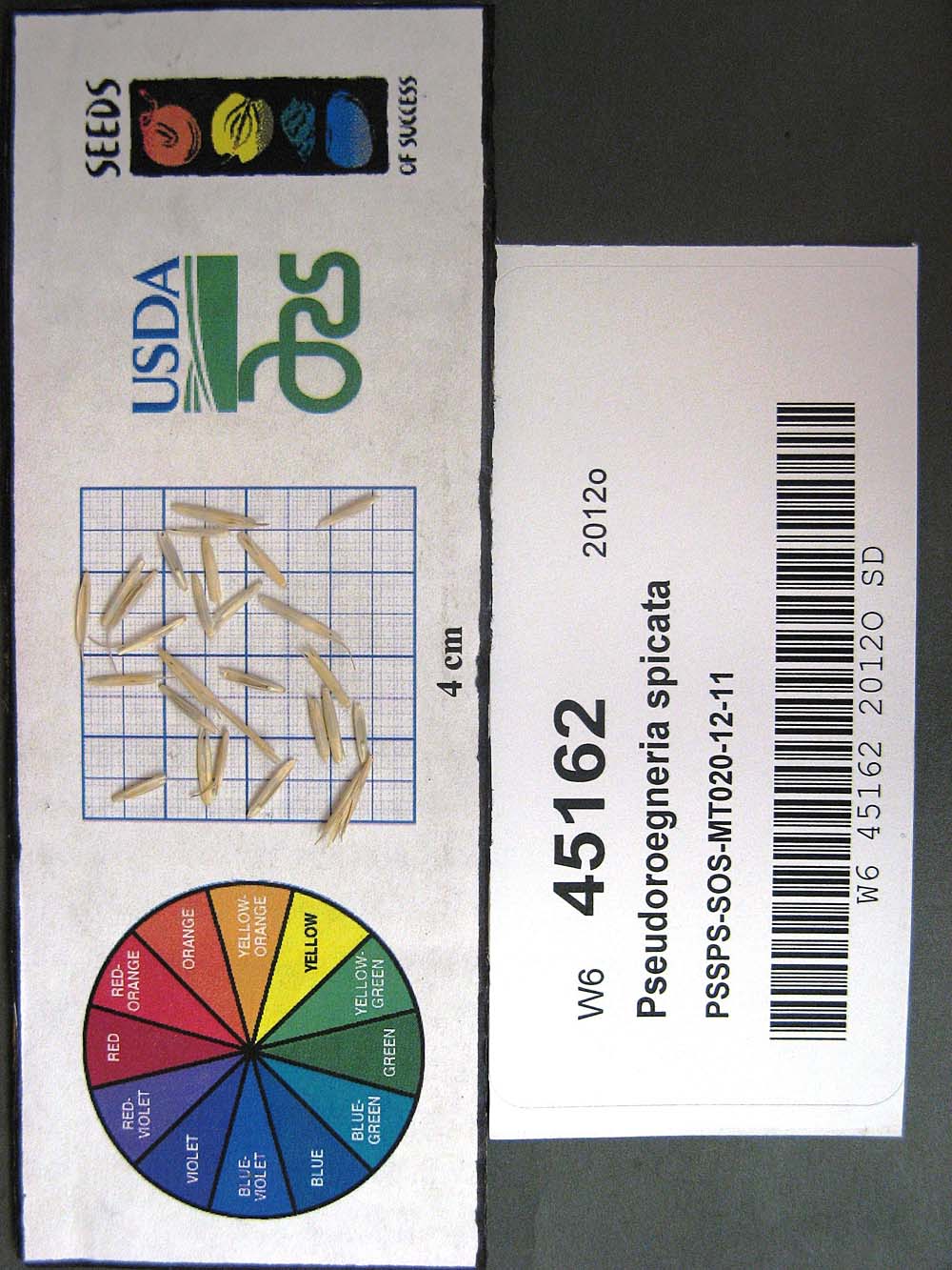 Click for 1 image(s) for this accession. SEED
