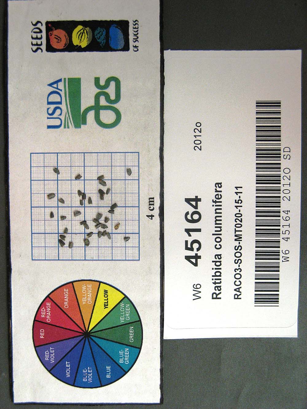 Click for 1 image(s) for this accession. SEED