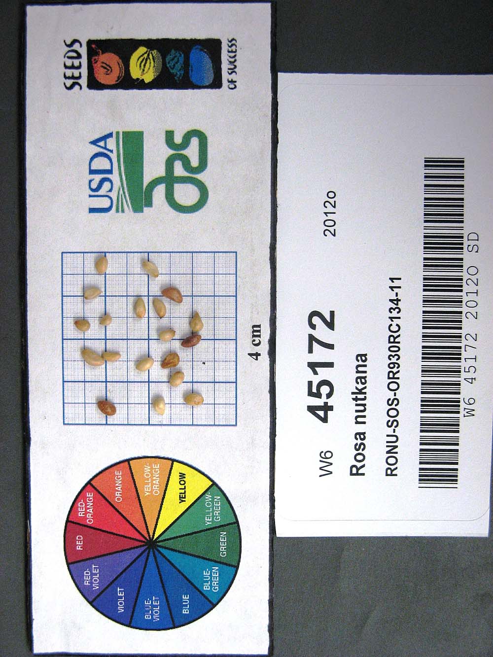 Click for 1 image(s) for this accession. SEED