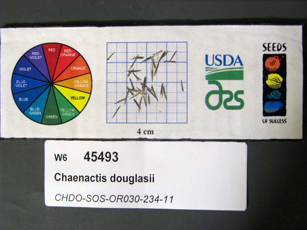 Click for 1 image(s) for this accession. SEED