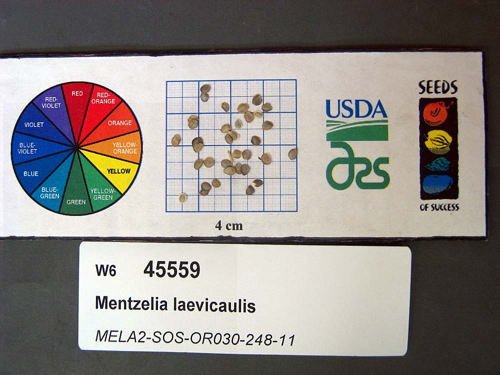 SEED