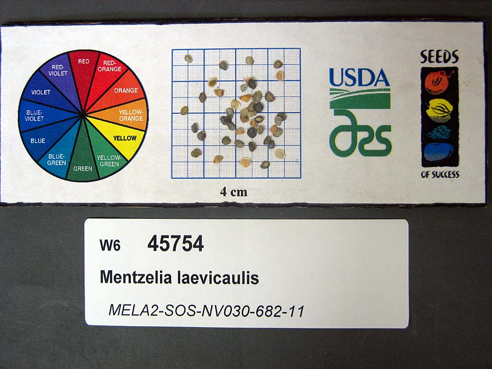 SEED