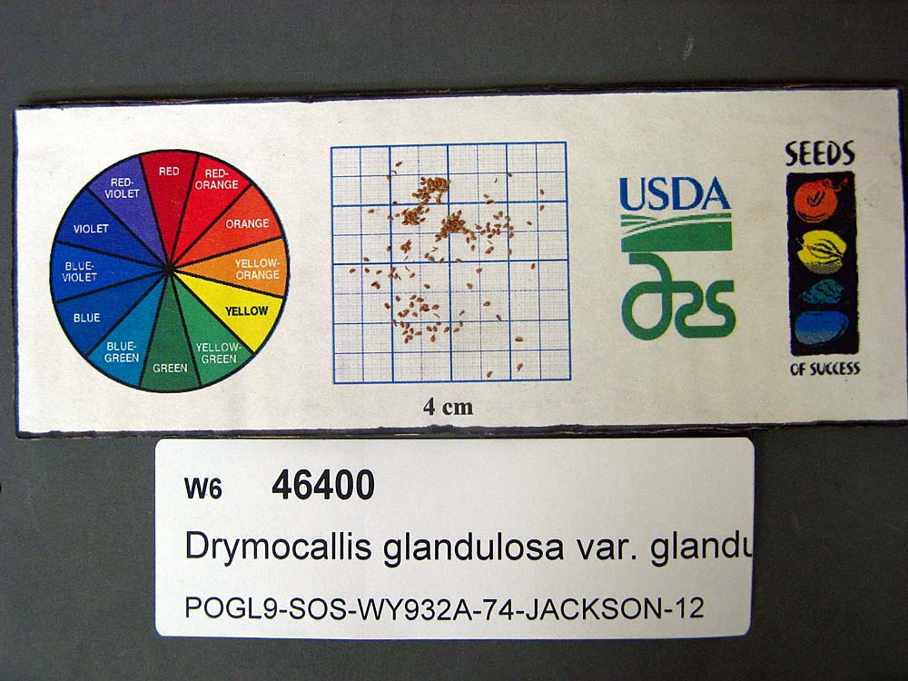 Click for 1 image(s) for this accession. SEED