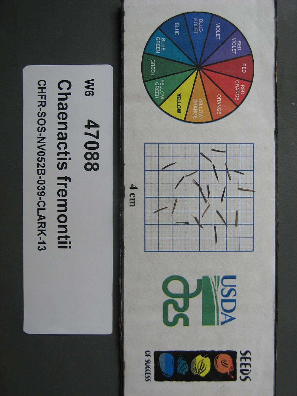 Click for 1 image(s) for this accession. SEED