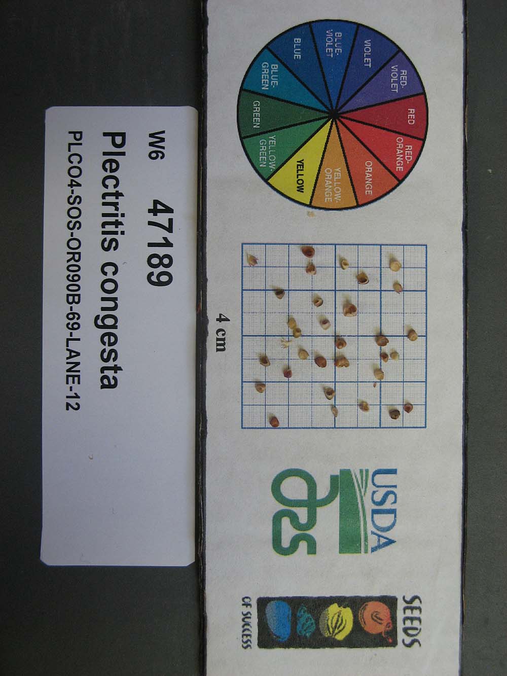 SEED