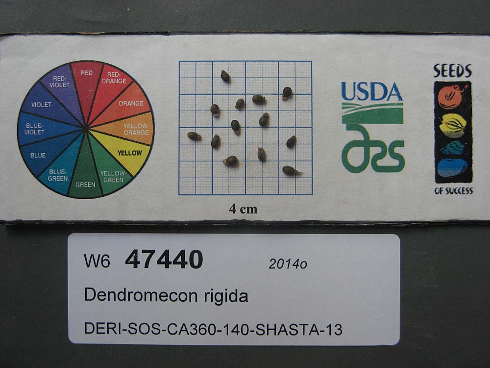 SEED