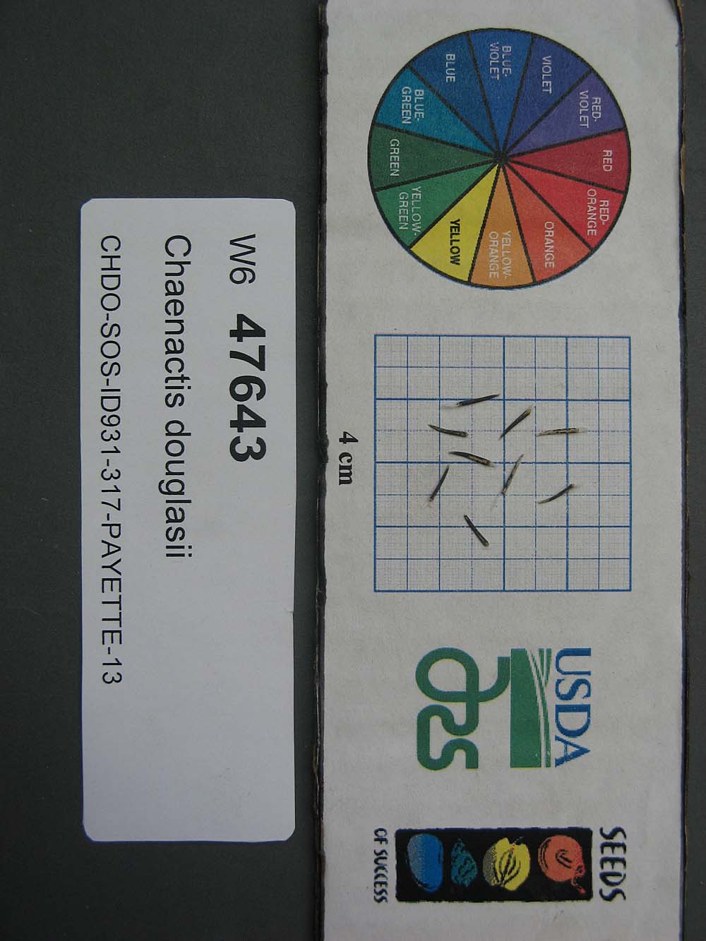 Click for 1 image(s) for this accession. SEED