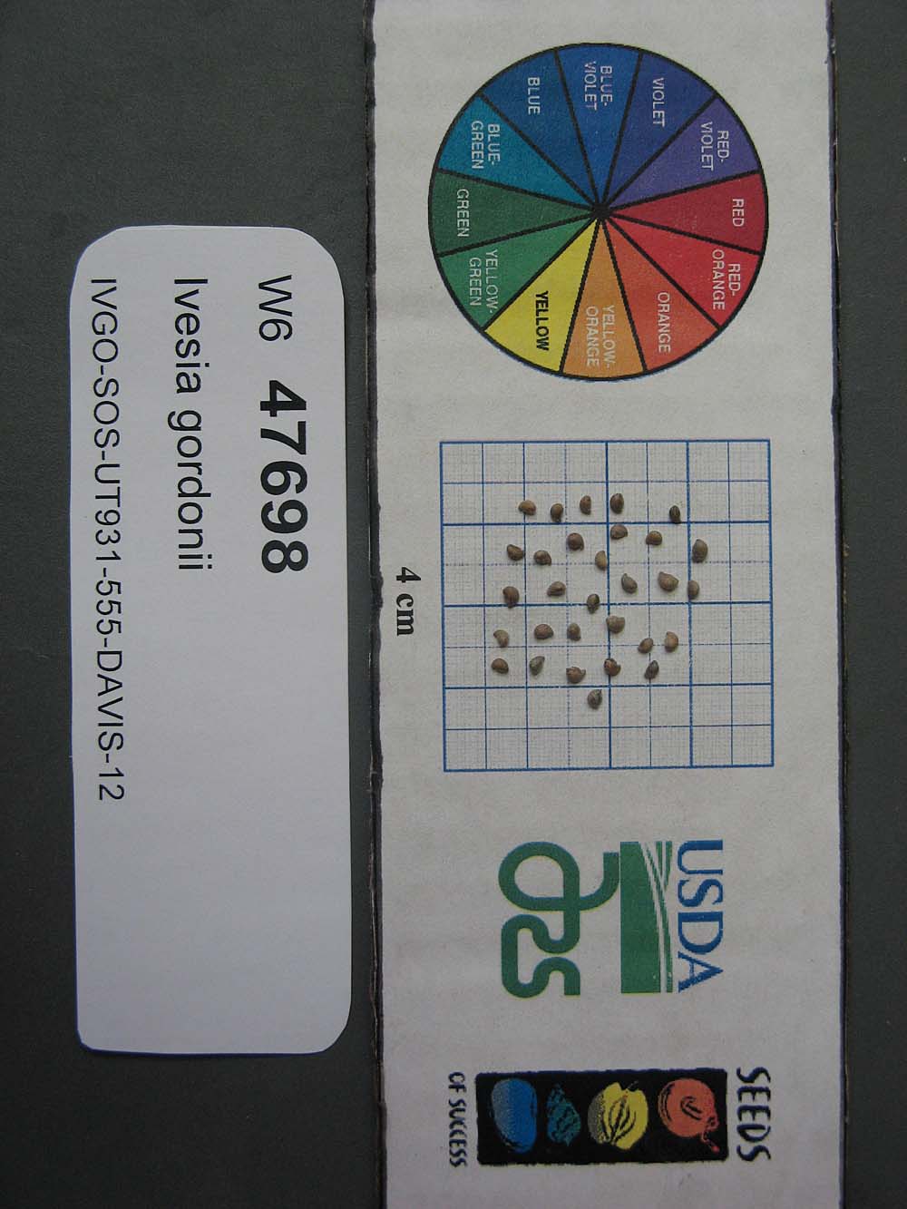SEED